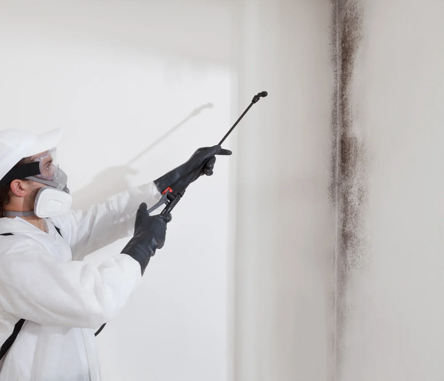 Mold removal specialist applying antimicrobial treatment